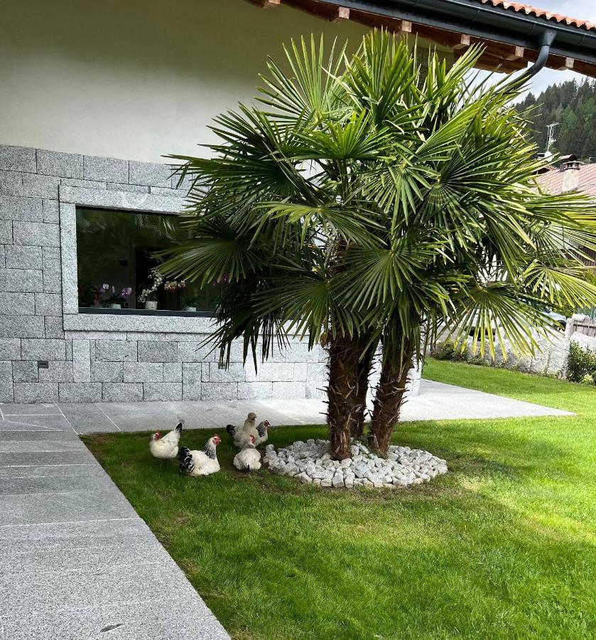 B&B Casa Il Sasso Pinzolo Luaran gambar