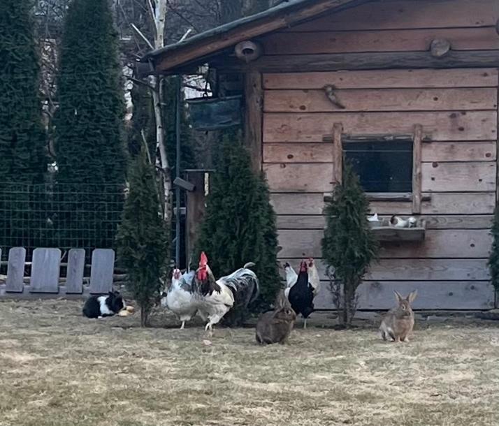 B&B Casa Il Sasso Pinzolo Luaran gambar